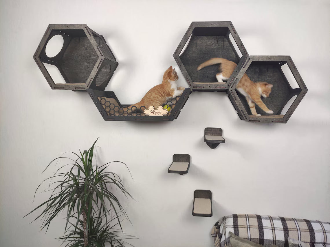 Brown Cat Wall Shelves Set 3 Hexagonal Shelves 1 Wall Shelf Bed and 3 Pejart