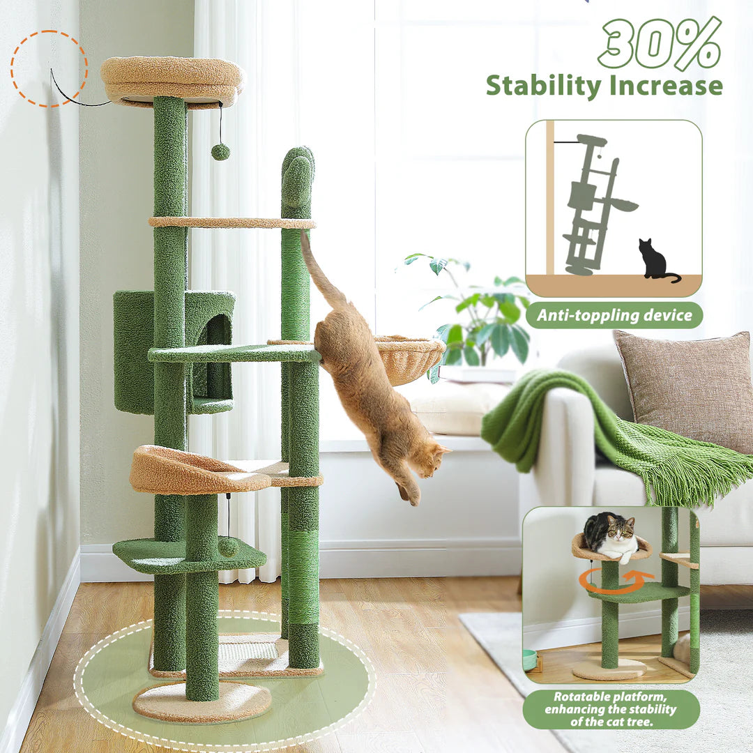 Cactus perch of the cat tree, perfect for large cats
