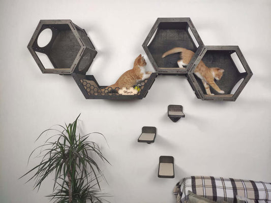 Brown Hexagonal Cat Wall Shelf – Floating, hexagon cat shelf made from plywood. Modern cat wall shelves for large cats to relax and climb.