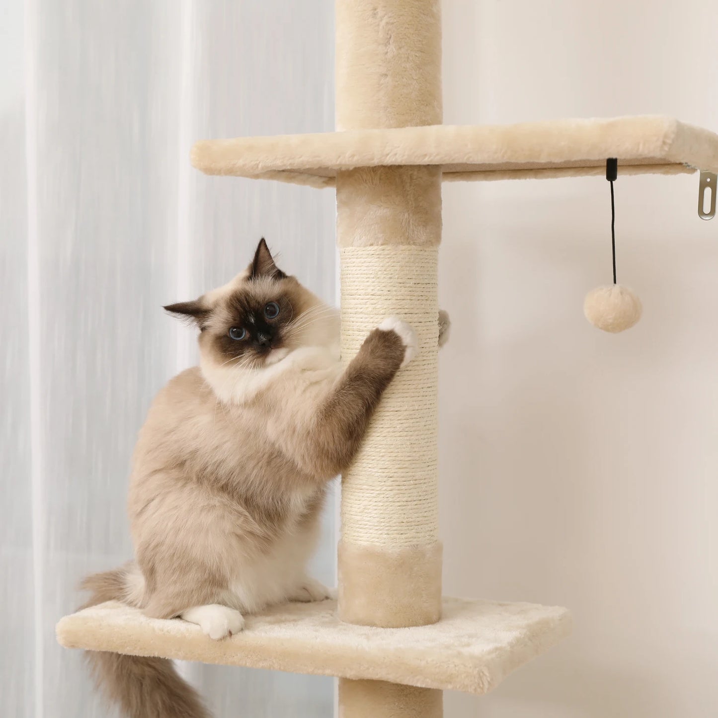 Pejam Adjustable 5 Tiers Cactus Floor to Ceiling Cat Tower