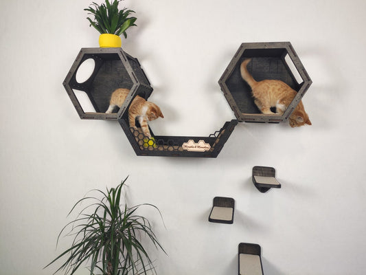 Modern cat shelf for large cats in minimalist homes