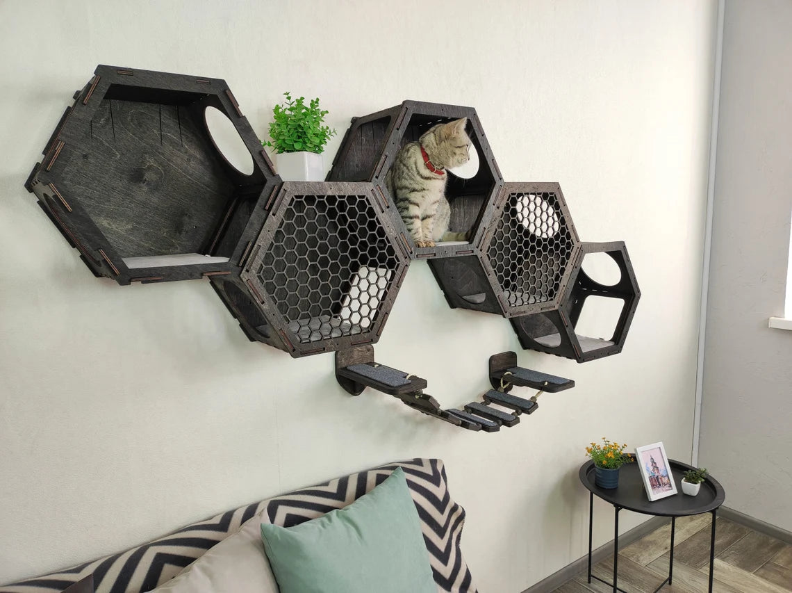 Wall-mounted cat shelf with extra-wide platforms for large cats