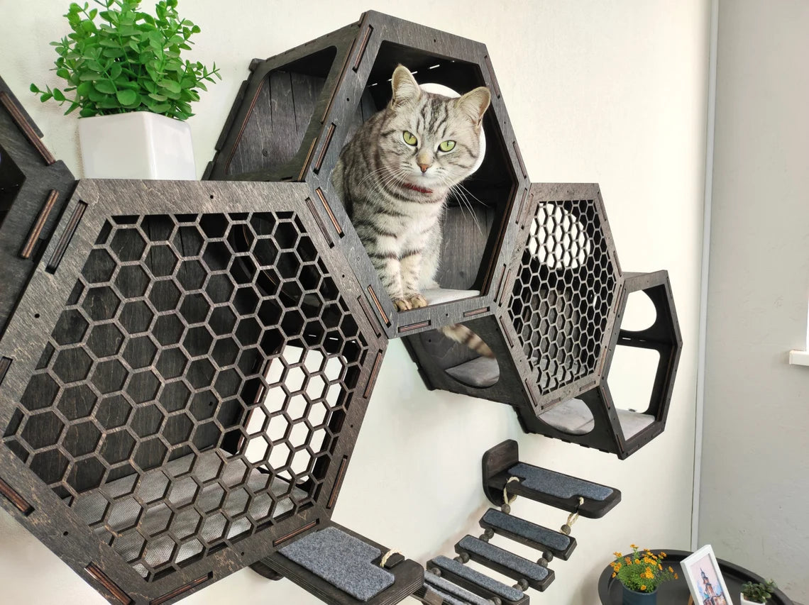 Space-efficient cat wall shelf for apartments, perfect for multiple cats