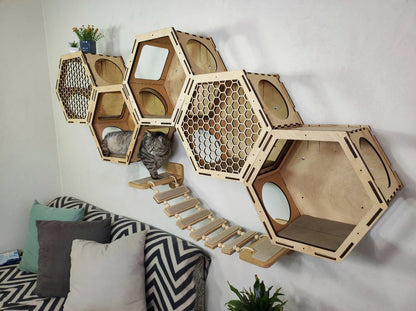 Modern cat shelf with integrated storage for toys and treats