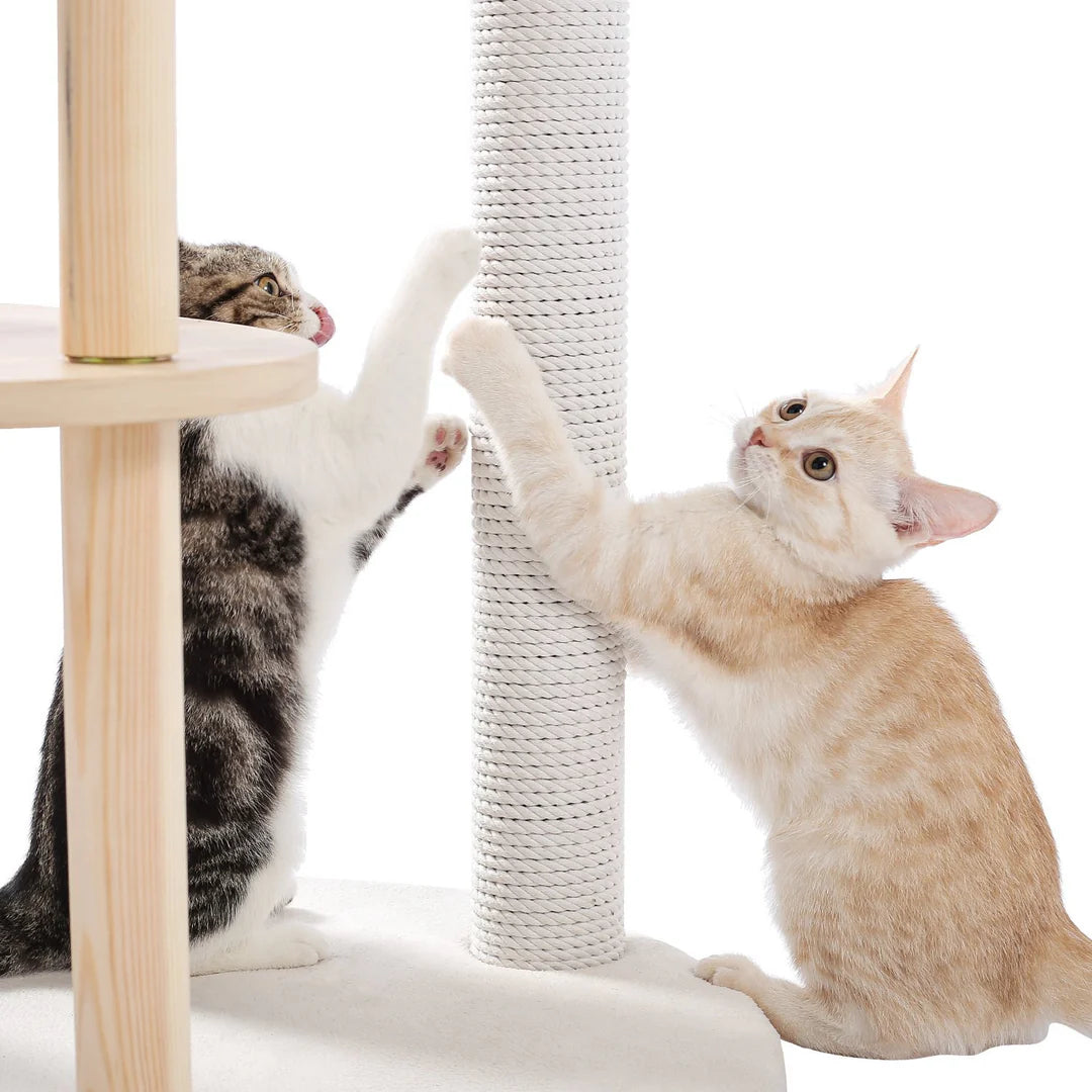 Pejam overlooking Wooden 5-Level Indoor Cat Tower