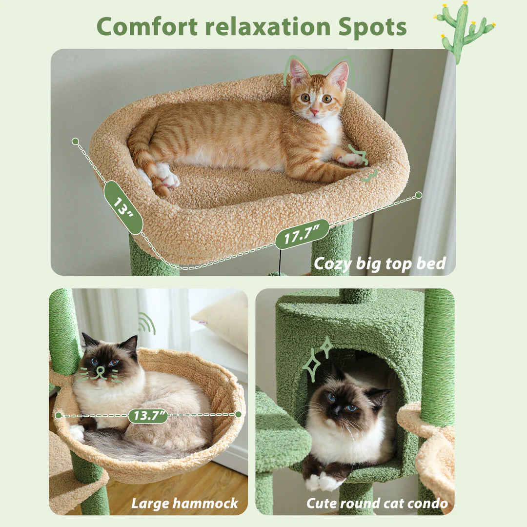 Cat tree with large perches best sale