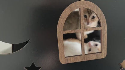 Video demonstration of the black and brown two-story modern wooden cat house, showing the assembly process, features, and a cat enjoying the house.