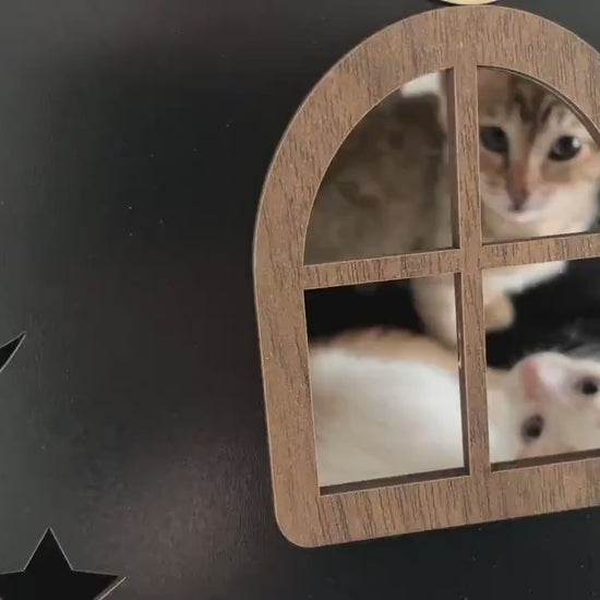 Video demonstration of the White and Pink two-story modern wooden cat house, showing the assembly process, features, and a cat enjoying the house.